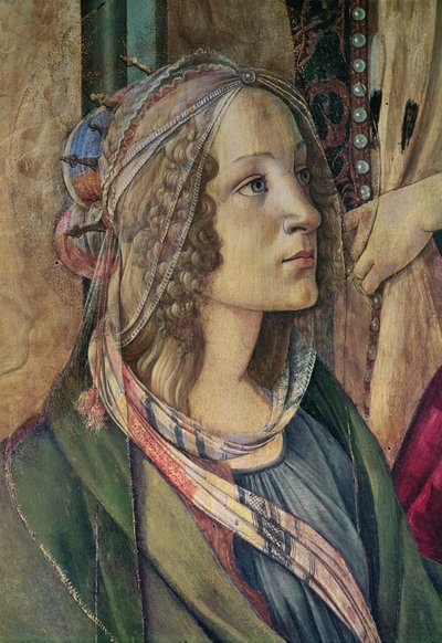 Detail von St. Katharina aus dem Altarbild von San Barnaba, ca. 1488 von Sandro Botticelli